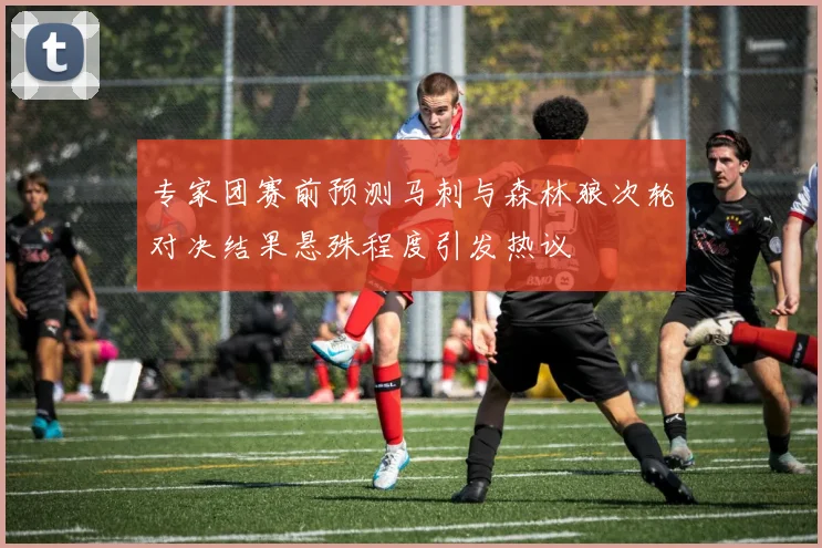 专家团赛前预测马刺与森林狼次轮对决结果悬殊程度引发热议